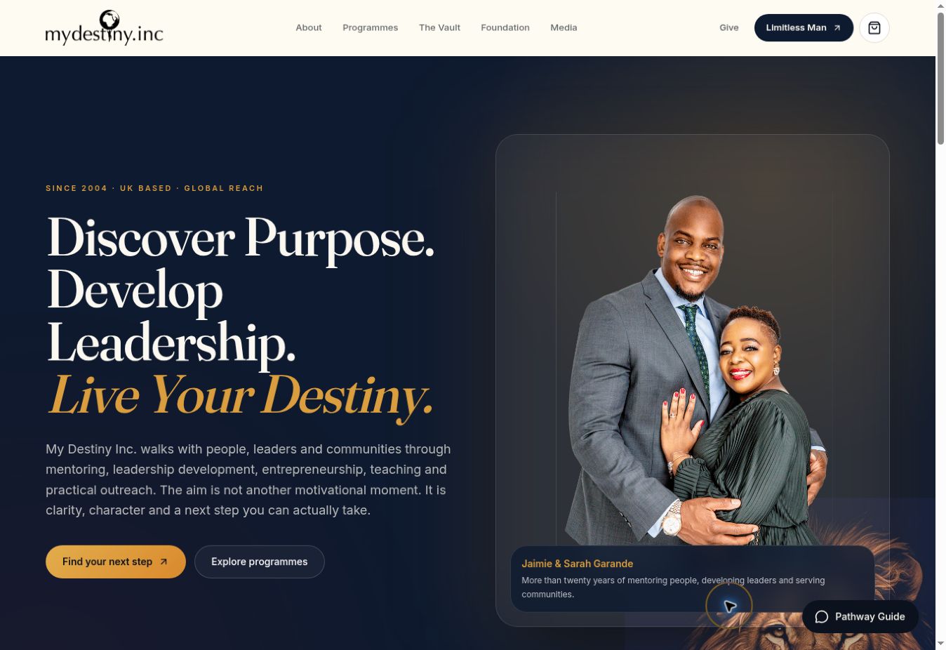 My Destiny Inc. project preview